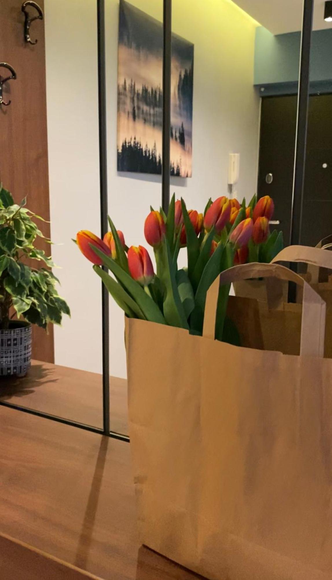 Dom Boutique Apartments - Old Town Beograd Ngoại thất bức ảnh